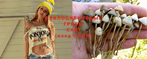 гидропоника Балахна